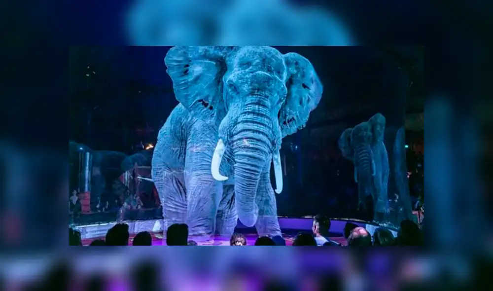 ¿Adiós a la utilización de animales silvestres en shows de circo? 