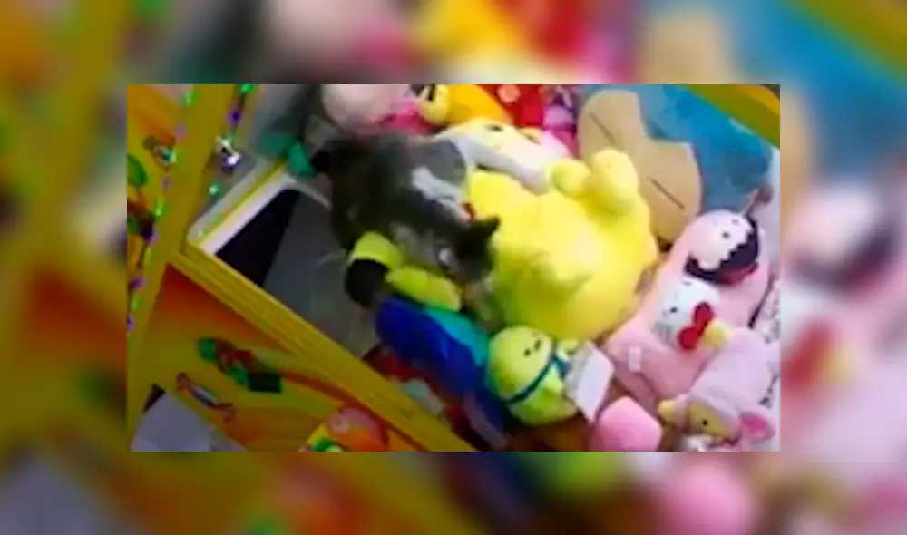 Desliza para ver detalles del video viral publicado en Facebook. Foto: Captura. Desliza para ver detalles del video viral publicado en Facebook. Foto: Captura.