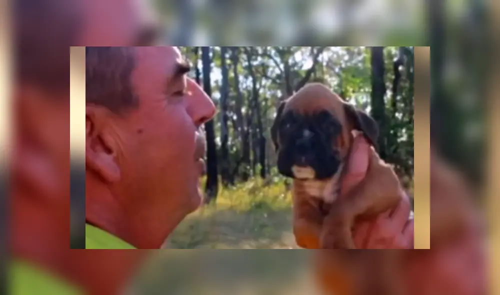 Bombero recata una caja del incendio y descubre que en el interior estaba una adorable criatura se es viral en Facebook. Bombero recata una caja del incendio y descubre que en el interior estaba una adorable criatura se es viral en Facebook.