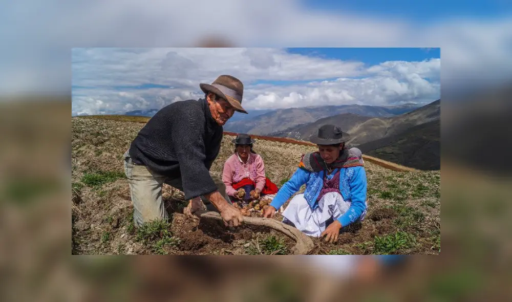 Bono Rural 2020 Bono Rural 2020