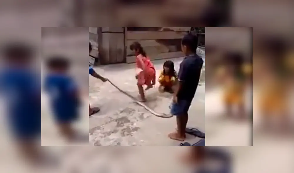 Grupo de niños fue grabado mientras se divertían en el popular juego de la cuerda con el cuerpo de una enorme serpiente. Video es viral en YouTube