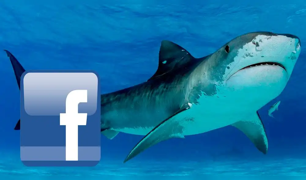 Facebook: ‘Tiburón’ hace el #KikiChallenge y asombra a todos en las redes [VIDEO]