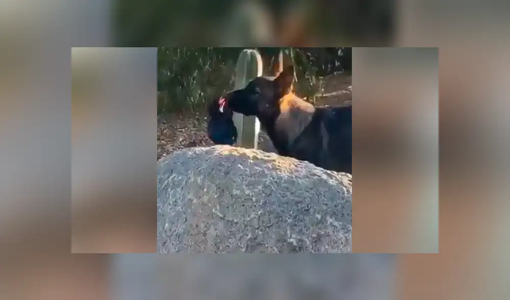 Desliza para ver los momentos más emotivos del video que se hizo viral en YouTube. Desliza para ver los momentos más emotivos del video que se hizo viral en YouTube.