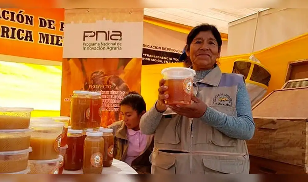 Tacna: Apicultores de Jorge Basadre duplican producción de miel 