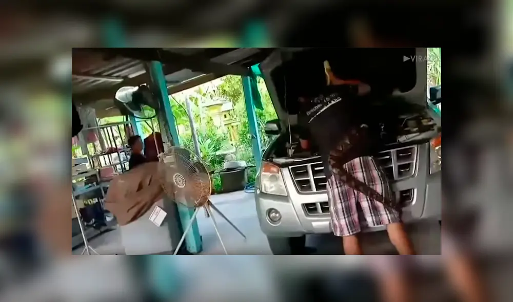 Hombre abre capó de su auto y encuentra letal criatura que habitaba en su interior [VIDEO] 