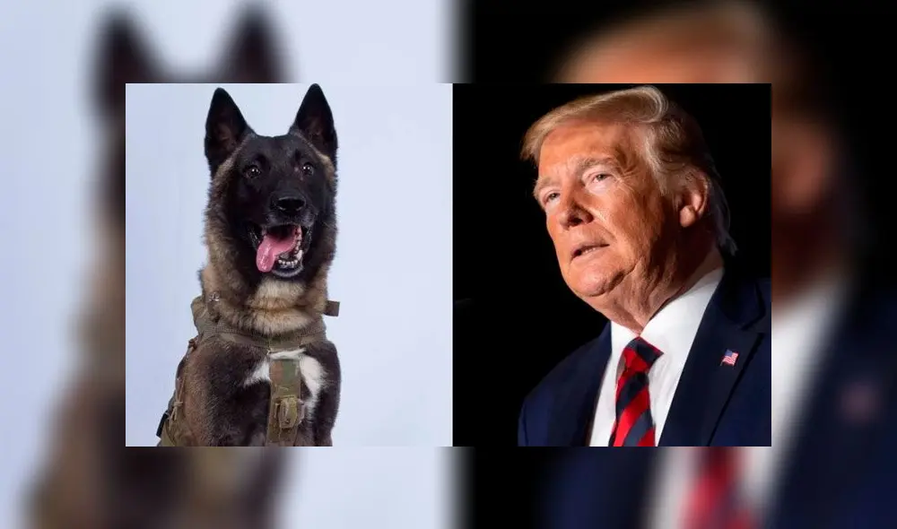 Perro que participó en el operativo contra líder del Estado Islámico visitará la Casa Blanca [FOTOS]