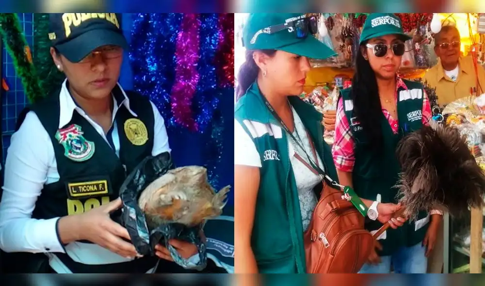 Hallazgo se realizó en el estadio Melgar en Arequipa.