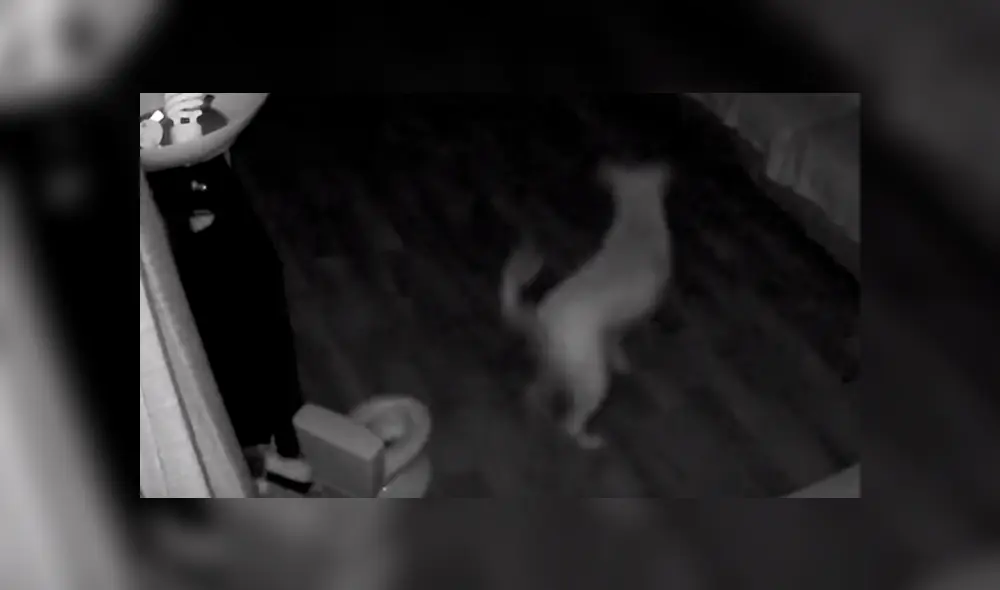 Video es viral en Facebook. Padre de familia notó algo extraño en el inodoro de entrenamiento de su hijo y quedó asombrado al ver las cámaras de seguridad de la casa