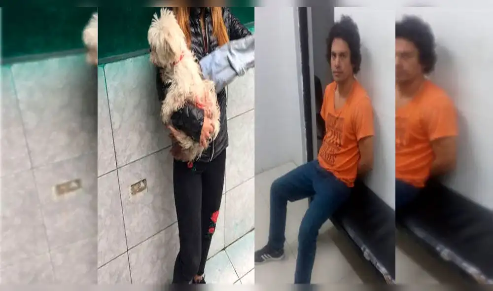 Sujeto agrede a enamorada y acuchilla a mascota