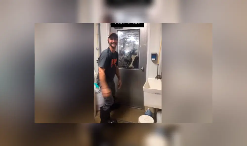 Facebook: La curiosa reacción de una vaca que ve a hombre escondido detrás de una puerta [VIDEO]
