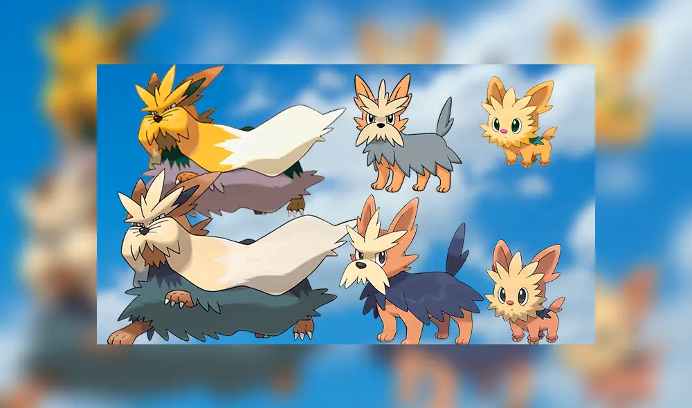 Lillipup y su familia evolutiva en su aspecto normal y shiny en Pokémon GO.