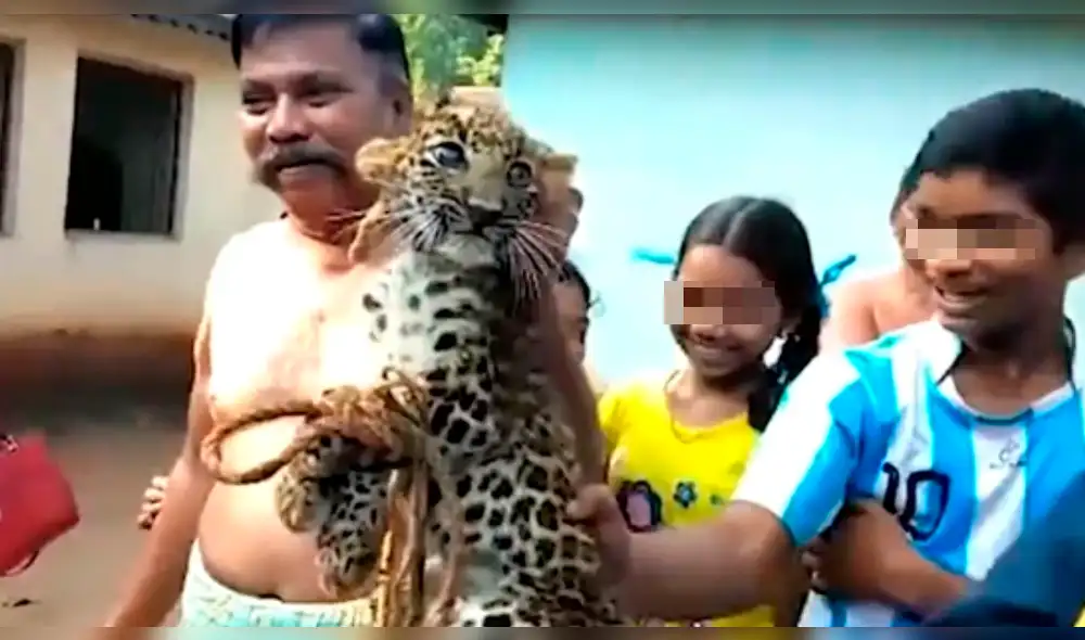 YouTube: capturan y atan a cachorro de leopardo para tomarse fotos con él [VIDEO]