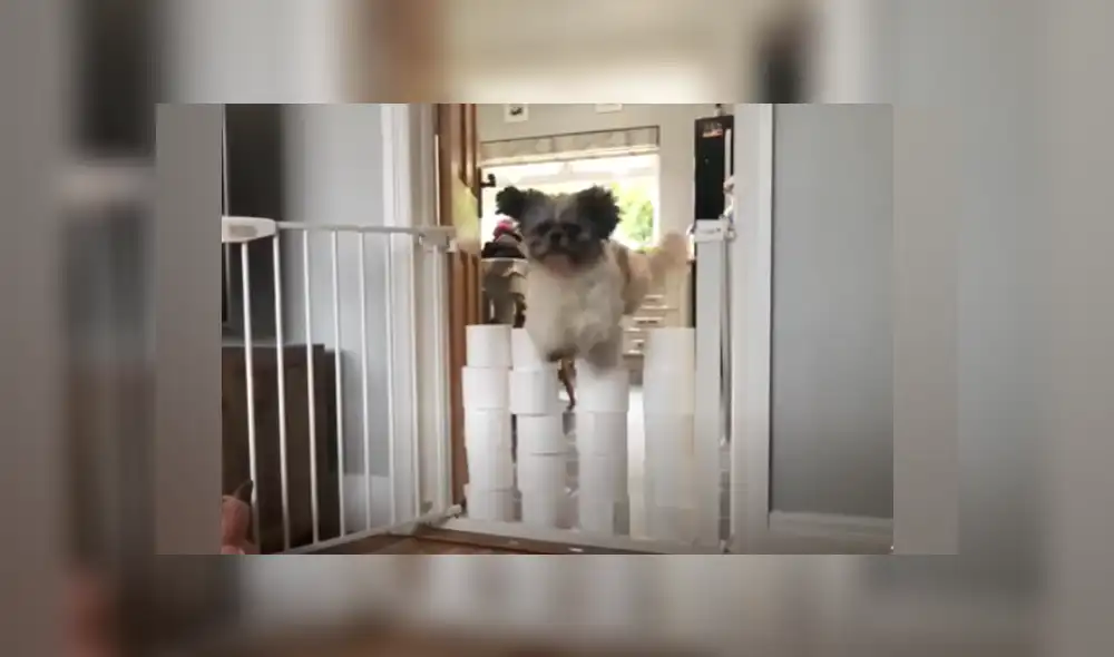 Desliza a la izquierda para ver más imágenes del peculiar video que ya es viral en YouTube.