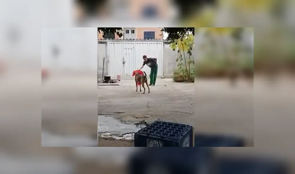 Desliza para ver los detalles del video viral publicado en YouTube. Foto: Captura. Desliza para ver los detalles del video viral publicado en YouTube. Foto: Captura.