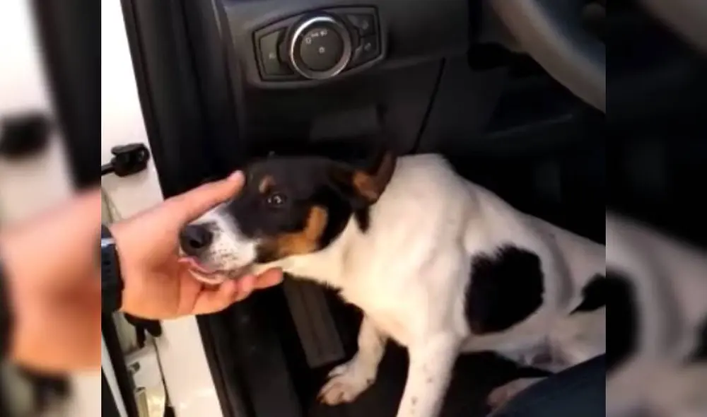 Desliza para ver el desenlace de la historia de Facebook. Foto: Polícia Militar Rodoviária de Santa Catarina