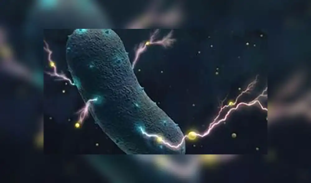 Los 25 descubrimientos científicos, históricos y culturales que asombraron al mundo en el 2018 Los 25 descubrimientos científicos, históricos y culturales que asombraron al mundo en el 2018