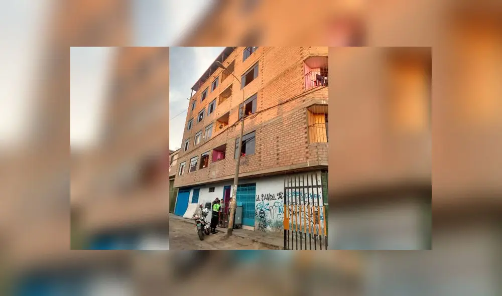 Mujer estaba a punto de llevarse una lavadora, equipo de sonido, televisor, juego de dormitorio, cocina y dinero en efectivo, todo valorizado en más de 15 mil soles. (Foto: Municipalidad de Independencia)