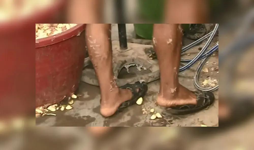 Once personas fueron intervenidas como presuntos responsables del delito contra la salud pública. (Foto: Captura de video / América TV) Once personas fueron intervenidas como presuntos responsables del delito contra la salud pública. (Foto: Captura de video / América TV)