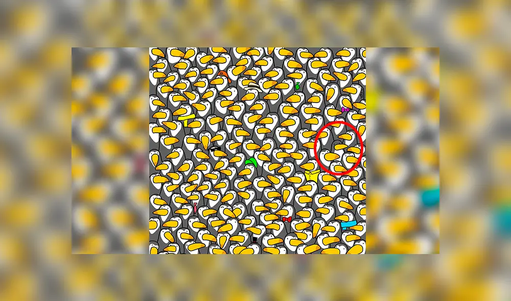 Facebook viral: halla al pingüino escondido entre tucanes, el nuevo ‘reto visual’ que casi nadie puede resolver
