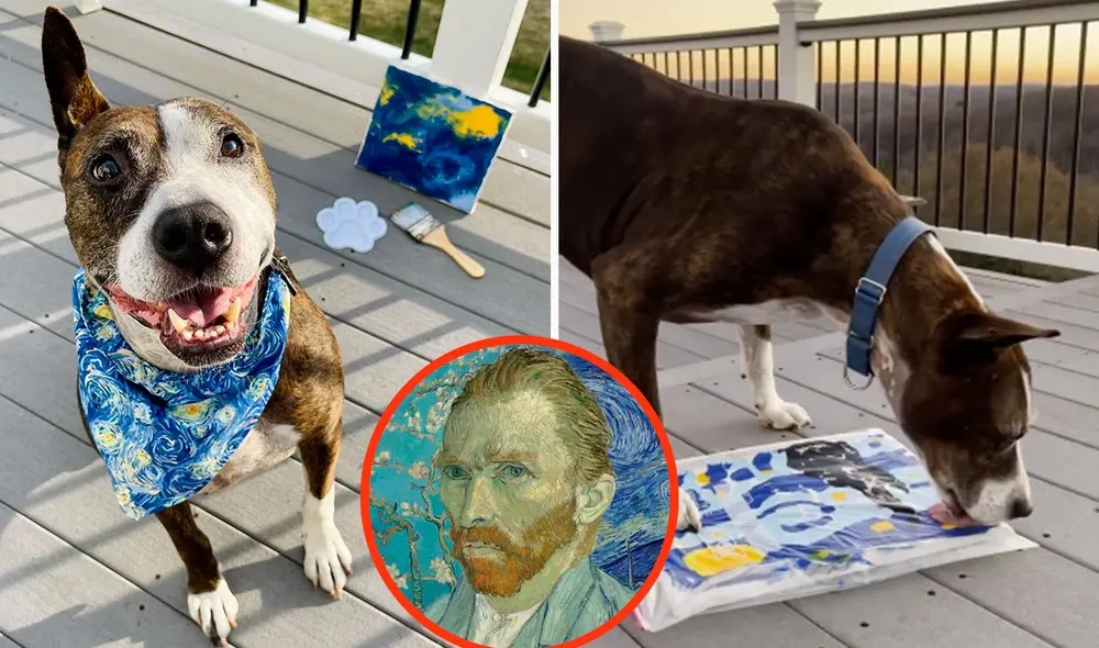 Pese a su fama, el perro todavía sigue en la búsqueda de un nuevo hogar que le brinde mucho amor. Foto: composición LR/Facebook/ Happily Furever After Rescue