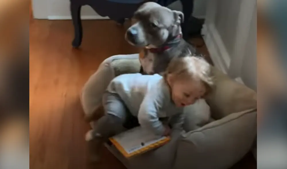 Desliza hacia la izquierda para ver las imágenes del video viral. Foto: Captura de YouTube. Desliza hacia la izquierda para ver las imágenes del video viral. Foto: Captura de YouTube.