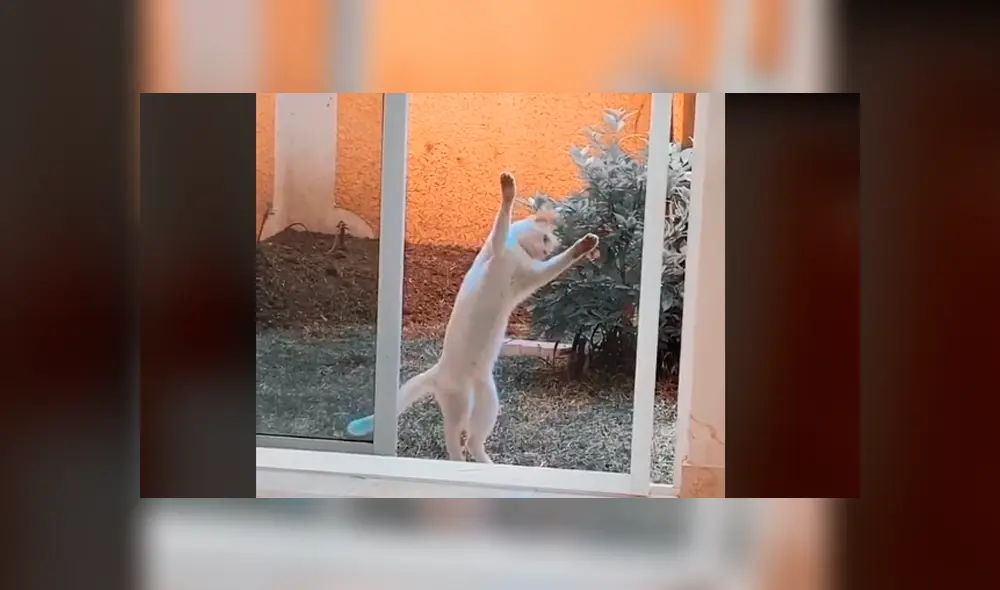 Desliza la imagen de TikTok para ver todas las fotos. Desliza la imagen de TikTok para ver todas las fotos.