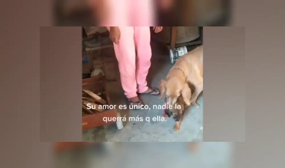 Desliza hacia la izquierda para ver más imágenes de esta emotiva escena. (Foto: captura / TikTok) Desliza hacia la izquierda para ver más imágenes de esta emotiva escena. (Foto: captura / TikTok)
