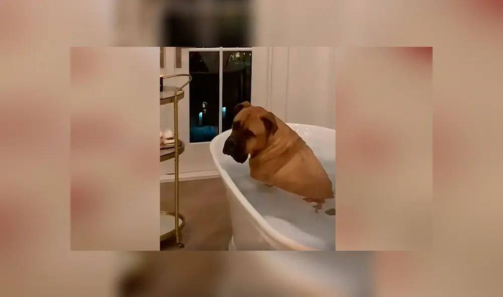 Desliza para ver los momentos más divertidos del video que se hizo viral en Facebook.