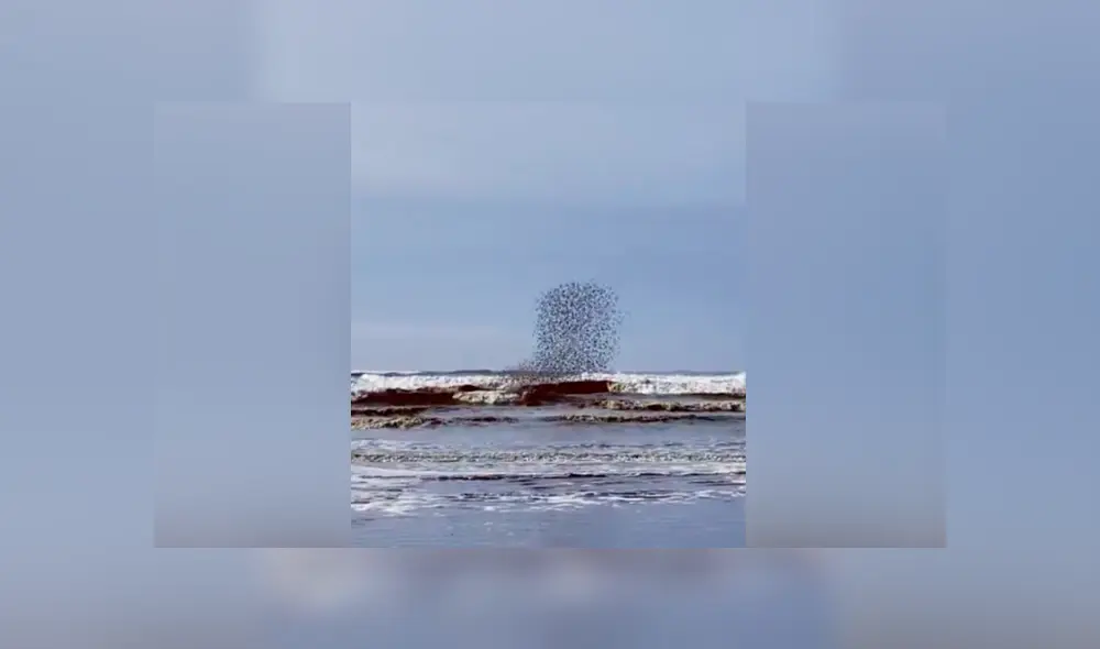 YouTube viral: capta extraña ‘mancha’ que se mueve en el cielo, hace zoom y descubre algo maravilloso [VIDEO]