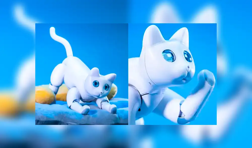 Desliza a la izquierda para descubrir este tierno robot. Desliza a la izquierda para descubrir este tierno robot.