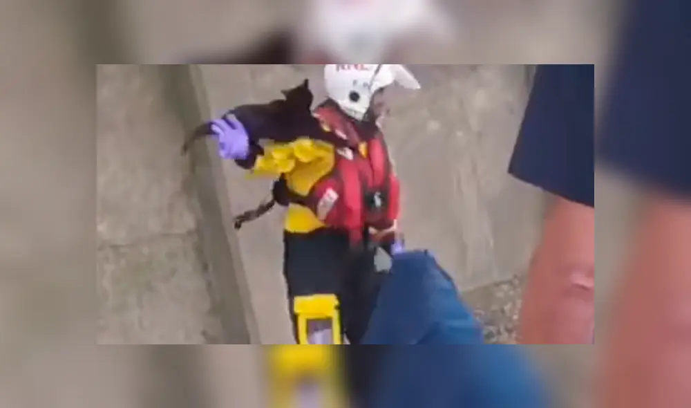 Desliza la imagen compartida para verlas todas. Foto: RNLI/Facebook