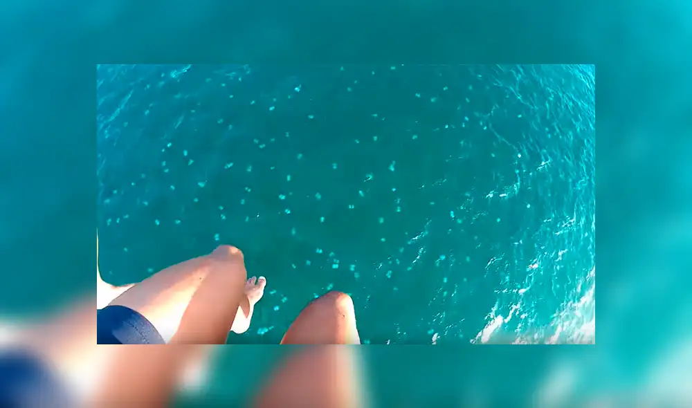 Hombres se sumergen en mar repleto de medusas venenosas, sin imaginar lo que pasaría [VIDEO] 