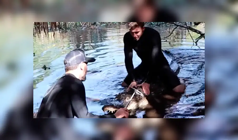 Dos jóvenes quedaron cara a cara con un enorme cocodrilo.