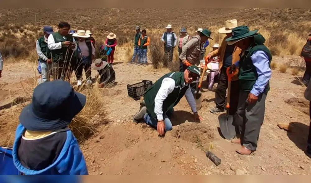 Pobladores de Polobaya serán asesorados. Pobladores de Polobaya serán asesorados.