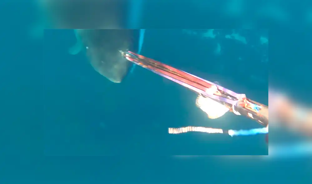 Desliza para ver los momentos más aterradores del video que se hizo viral en YouTube. Desliza para ver los momentos más aterradores del video que se hizo viral en YouTube.