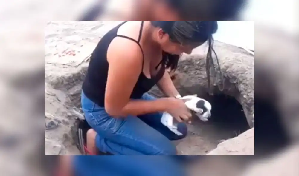 perrita rescatada ves