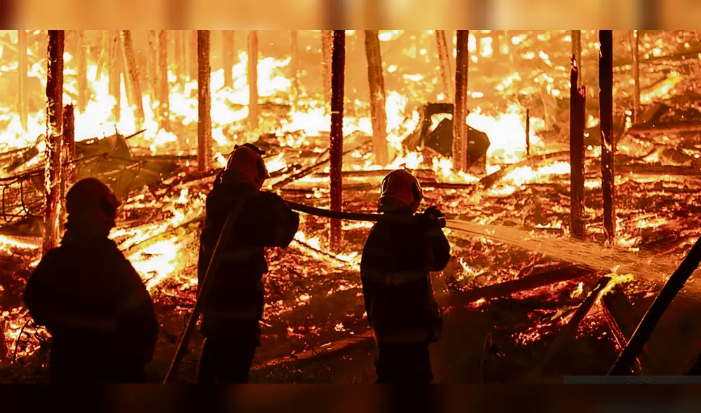 Brigadas
Cuerpos especiales de bomberos intentan sofocar los incendios que afectan extensas áreas de la Amazonía brasileña y que amenazan al resto de países de la región.
Biodiversidad de la Tierra en peligro Brigadas
Cuerpos especiales de bomberos intentan sofocar los incendios que afectan extensas áreas de la Amazonía brasileña y que amenazan al resto de países de la región.
Biodiversidad de la Tierra en peligro