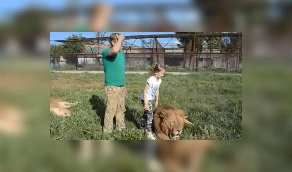 YouTube viral: Niña entra a calabozo de leones y la reacción de estos deja impactados a todos [VIDEO]
