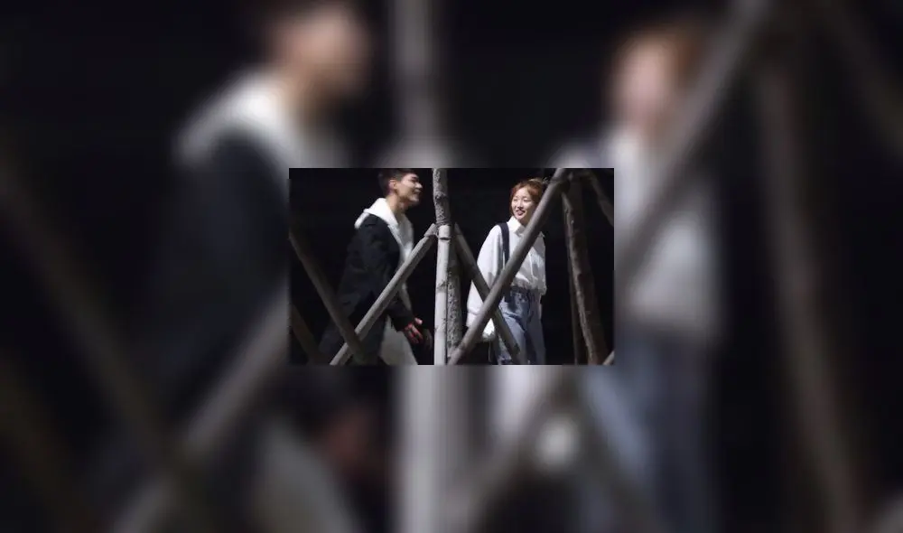 Park So Dam, Park Bo Gum, dorama