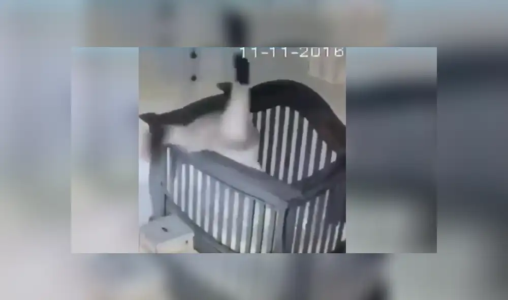 Youtube viral: Abuela intenta colocar a su nieto en la cuna y sufre terrible accidente [VIDEO]