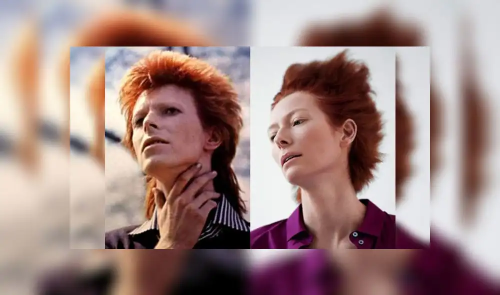 'Stardust': piden que Tilda Swinton interprete a David Bowie en biopic [VIDEO]