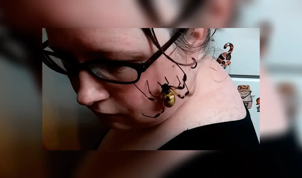 YouTube: Mujer causa asombro por tener de mascota a una enorme araña [VIDEO]