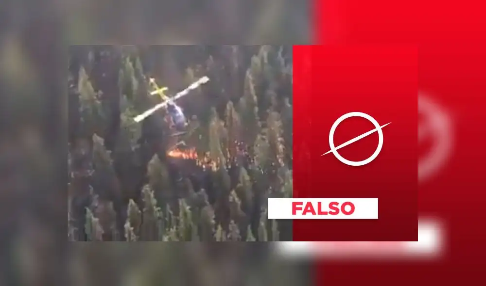 La información del video viral aseguraba que era un video en la selva amazónica. Composición. La información del video viral aseguraba que era un video en la selva amazónica. Composición.