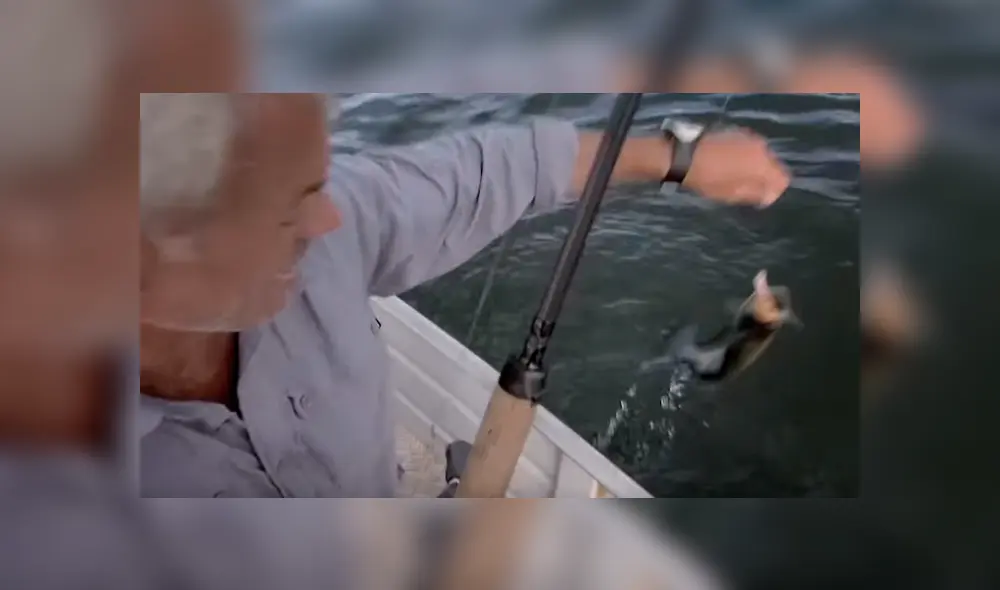 Pescador ingresa a peligrosa playa de Brasil para atrapar a peligrosa criatura marina que atacó a bañistas. Pescador ingresa a peligrosa playa de Brasil para atrapar a peligrosa criatura marina que atacó a bañistas.