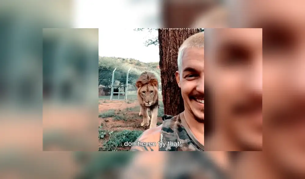 Facebook viral: joven ingresa a santuario de león para tomarse ‘selfie’, sin imaginar efusiva reacción del depredador