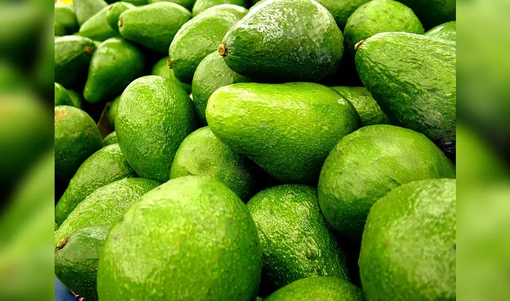 Palta