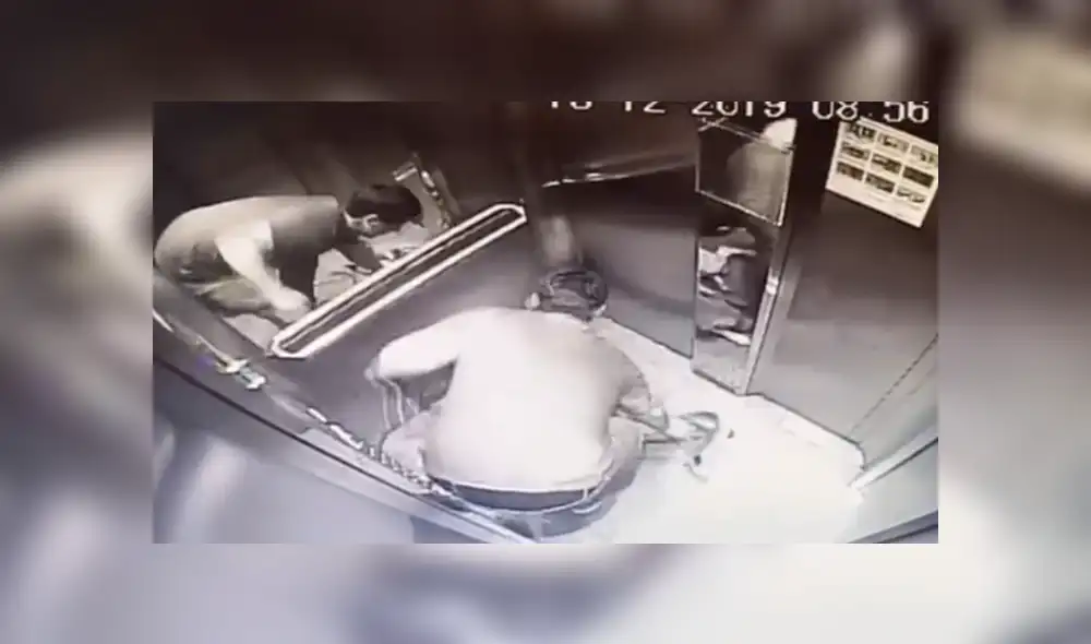 Maltrato animal en Chile fue hecho viral en redes sociales. Foto: Captura