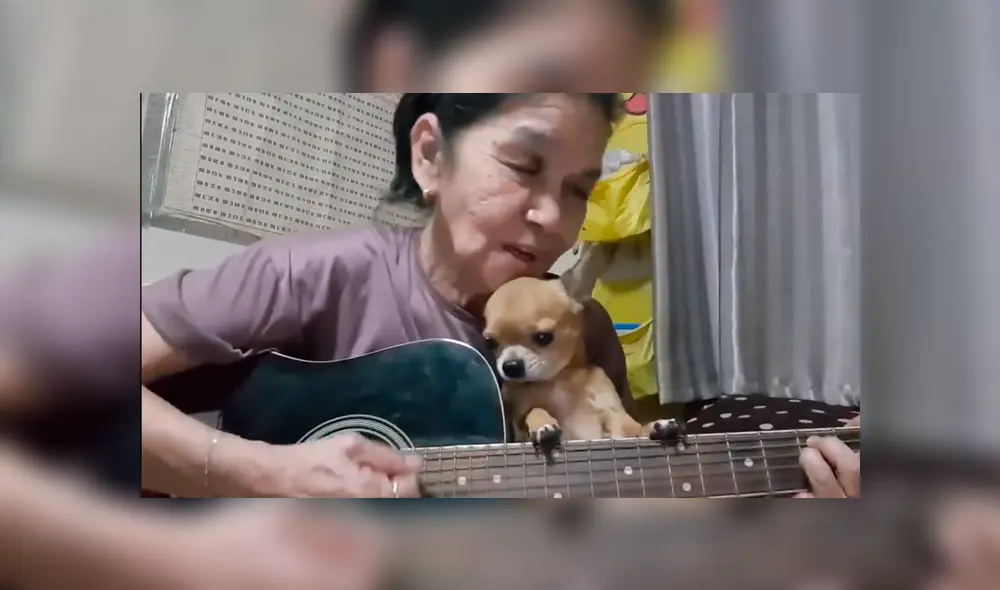 En Facebook, una mujer tocó la canción Hey Jude en una transmisión en vivo para dedicarlo a su tierna mascota. En Facebook, una mujer tocó la canción Hey Jude en una transmisión en vivo para dedicarlo a su tierna mascota.