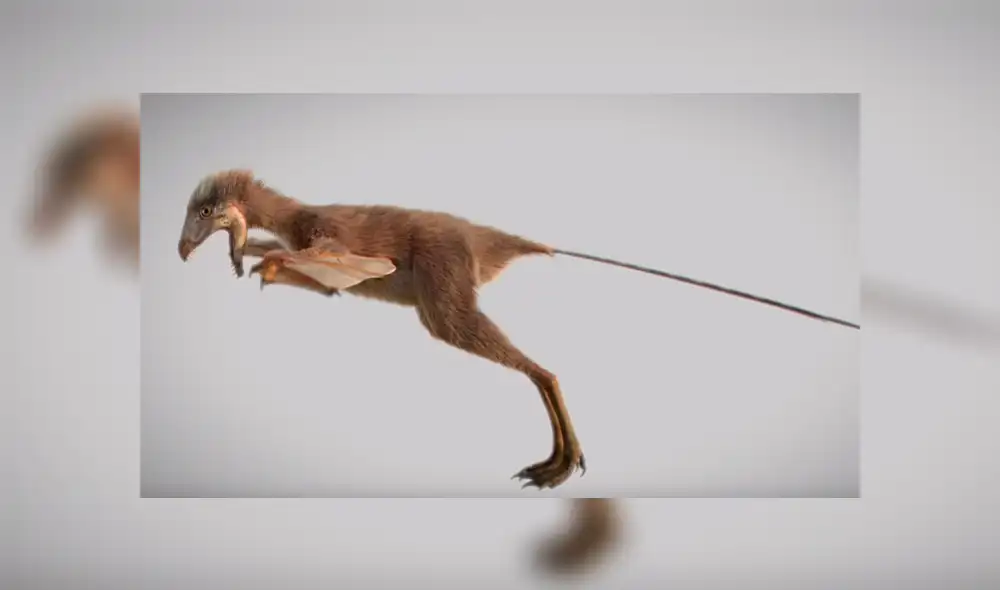 YouTube viral: Extraña criatura parecido a un dinosaurio sorprende en redes sociales [VIDEO]