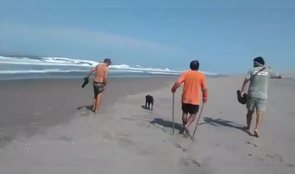 Pobladores estaban en playa de Camaná, ellos acusan que los perros los atacaron. Pobladores estaban en playa de Camaná, ellos acusan que los perros los atacaron.